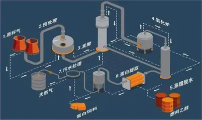 全球首次实现规模化一氧化碳合成蛋白质0