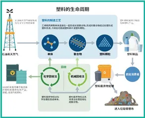 绿色环保塑料，未来可期1