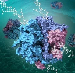 我国科学家破译几丁质生物合成之谜