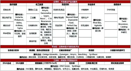 合成生物：政策陆续出台资本加速投资0