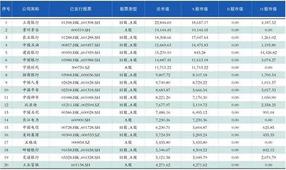 2024年底总市值前20家公司0