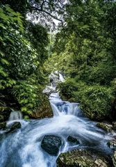 高黎贡山世居民族