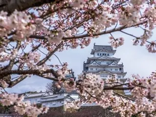 日本姬路城