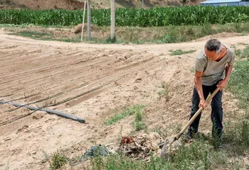 靖边田间地头告别“白色污染”3