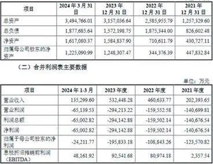 芯联集成：IPO募资逾90亿元一年后又计划定增1