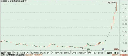 晨鸣纸业、中安科、大千生态2