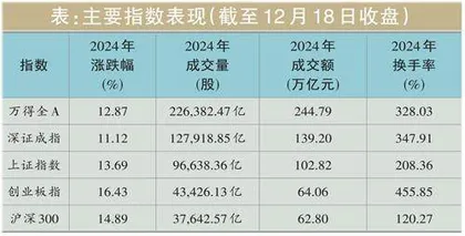 2024年行情回顾：一波三折曙光显现