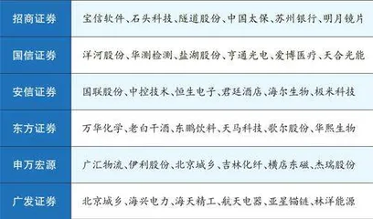 浙江仙通：小而美的汽车密封条隐形冠军