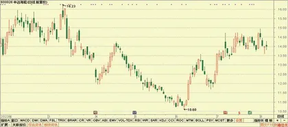 佳电股份、软控股份、中际旭创5