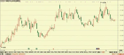 浙数文化、双环传动、国电电力0