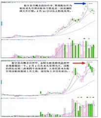 “龙二接棒新龙头”多是陷阱