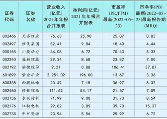 核心锂矿的价值重估2