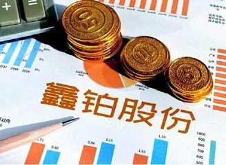 鑫铂股份：新能源汽车铝部件打造第二增长极1