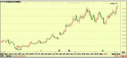 股神榜：金盘科技、东威科技、劲嘉股份4