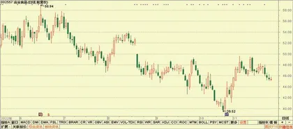 股神榜：迪普科技、元琛科技、洽洽食品4