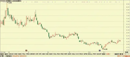 股神榜：迪普科技、元琛科技、洽洽食品7