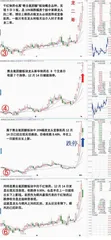 热点龙头与跟风股的对比1