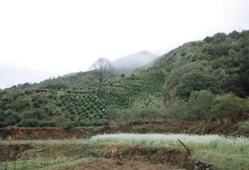 贴在电线杆上的侮辱信1