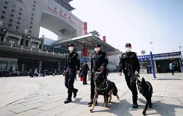 我的警犬战友