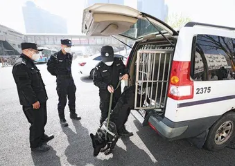 我的警犬战友1