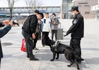 我的警犬战友2