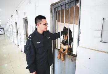 我的警犬战友6