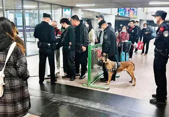 我的警犬战友8