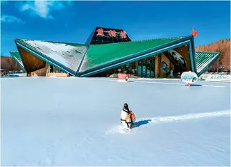 在冰雪经济浪潮下专业滑雪场破浪前行1