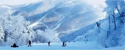 在冰雪经济浪潮下专业滑雪场破浪前行3