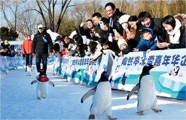 陶然亭冰雪嘉年华点亮北京城市冰雪经济0