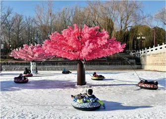 陶然亭冰雪嘉年华点亮北京城市冰雪经济3