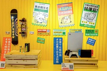 闲品新生　循环经济创造市场新奇迹