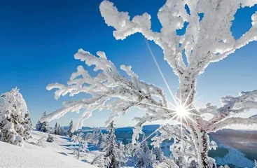 瑞典　高山滑雪　沉浸冰雪世界3