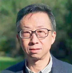 数字乡村建设：乡村振兴新引擎