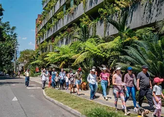 哥伦比亚麦德林：可食用植物之旅