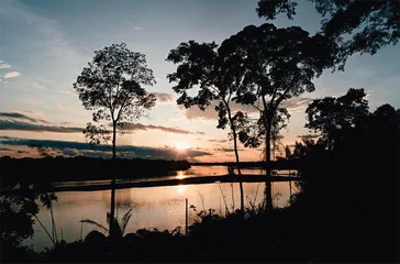 亚马孙原住民：太阳能点亮新生活12