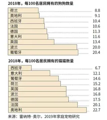 疯狂的宠物经济6