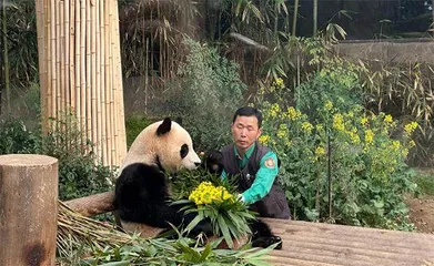 浙江小伙在荷兰开“网红”火锅连锁店 等1