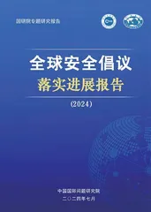 实践是检验全球安全倡议吸引力的“金标准”