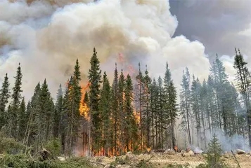 加拿大遭遇史上最严重山火0