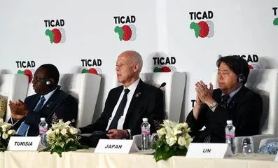 从TICAD看日本对非洲多层级公共外交