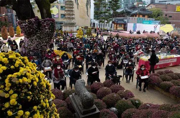 预期与现实的落差：韩国年轻人的就业困境0