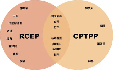 RCEP：国际经贸秩序隐现东亚方案0