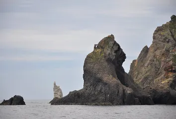 独岛（竹岛）五分钟：感受丰富意涵7