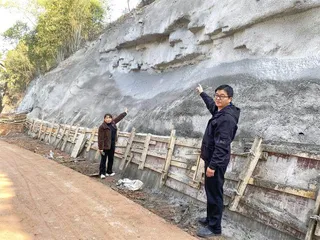 组织保障为乡村振兴蓄力赋能1