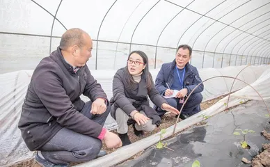 广安：做实做细政治监督 铁纪护航拼经济搞建设