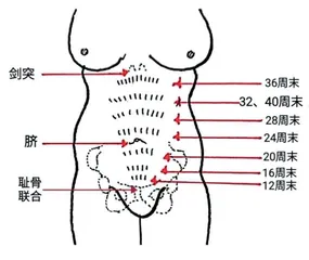  宝宝“退房时间”早知道0