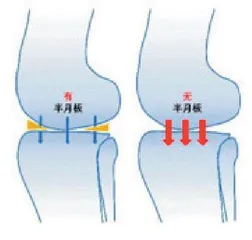 “半月”伴你行 且行且珍惜3