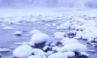 阿勒泰：“她是狂野的梦，她是山野的风”1