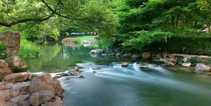 花重锦官城3